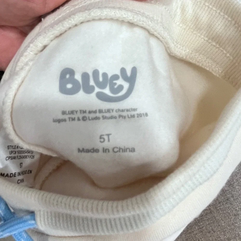 Bluey Jogger Set Kids 5T Cream Hooded Sweatshirt‎ Pants 2pc Heeler Family NEW